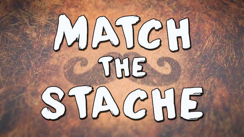 Match The Stache