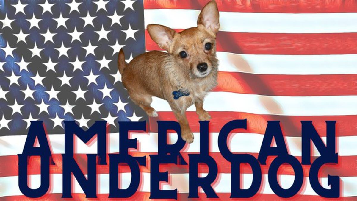 American Underdog, Official Movie Site
