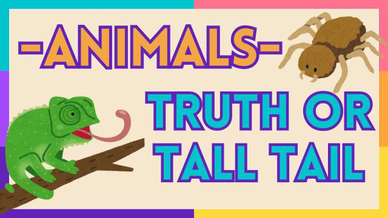 Animals: Truth or Tall Tail - Vol. 1