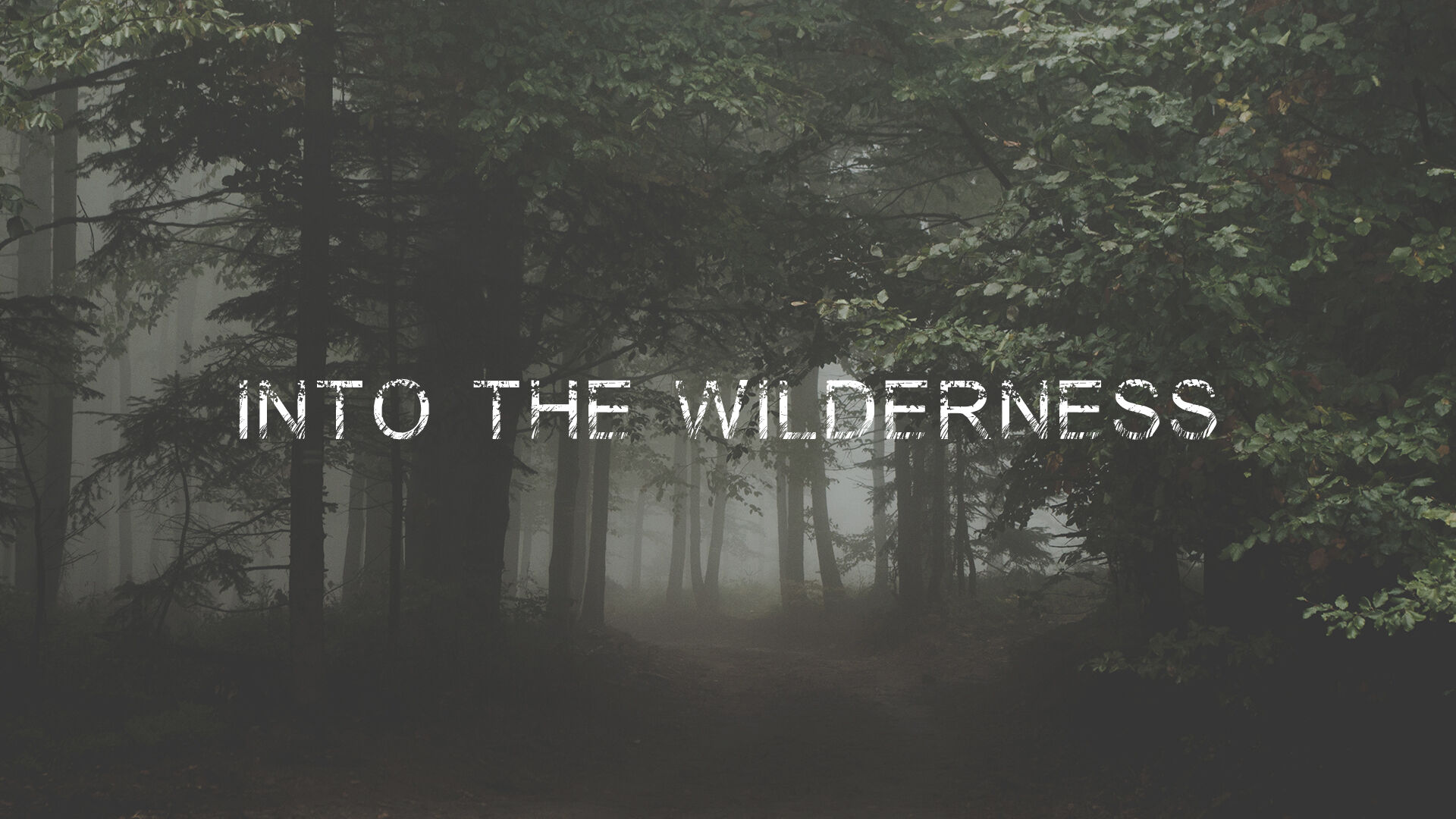 into the wilderness wild arms